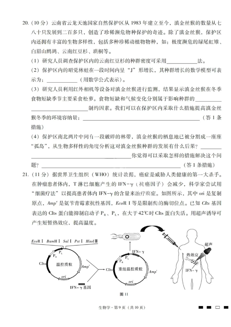 2026届云南三校高考备考实用性联考卷（一）生物试卷+答案_2025年6月_2506142026届云南三校高考备考实用性联考试卷（一）（全科）(1)