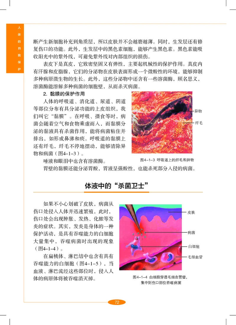 沪教版9年级科学下册高清教材_4-教培资料-26年最新资料-同步更新_初中高中教资_03科三专项（进去保存报考的学科即可）_02科三专项（笔记真题思维导图教学设计版本二）