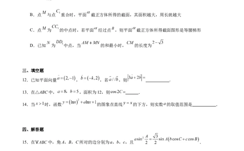 广东省执信中学、汕头市金山中学、深圳外国语学校2026届高三上学期联合调研考试数学Word版含答案