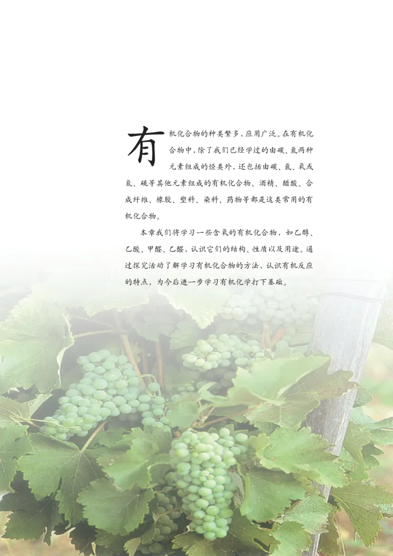 沪科版化学高二第二学期_4-教培资料-26年最新资料-同步更新_初中高中教资_03科三专项（进去保存报考的学科即可）_02科三专项（笔记真题思维导图教学设计版本二）