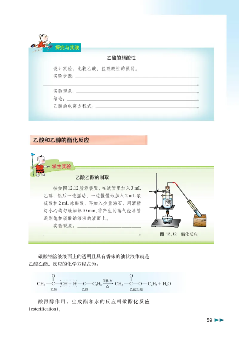 沪科版化学高二第二学期_4-教培资料-26年最新资料-同步更新_初中高中教资_03科三专项（进去保存报考的学科即可）_02科三专项（笔记真题思维导图教学设计版本二）