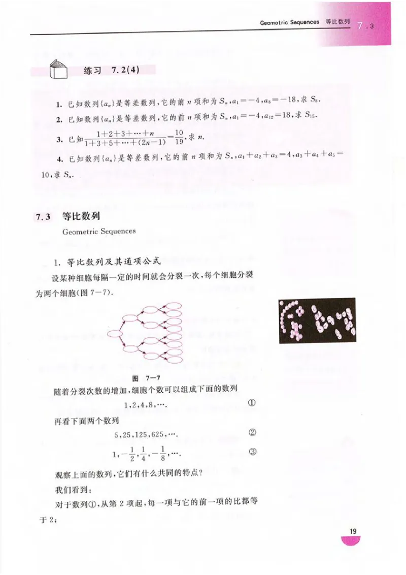 沪教版高中数学高二上册_4-教培资料-26年最新资料-同步更新_初中高中教资_03科三专项（进去保存报考的学科即可）_02科三专项（笔记真题思维导图教学设计版本二）