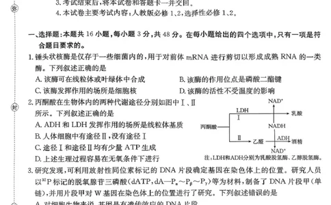 河南省2025&mdash;2026年度上学期高三年级第三次联考生物_2025年12月_251230金太阳&middot;河南省2025&mdash;2026年度上学期高三年级第三次联考（全科）