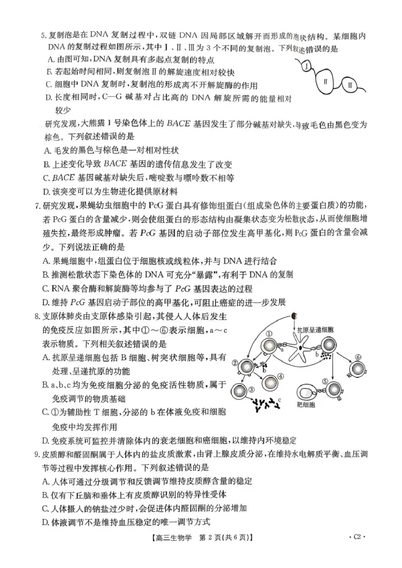 河南省2025&mdash;2026年度上学期高三年级第三次联考生物_2025年12月_251230金太阳&middot;河南省2025&mdash;2026年度上学期高三年级第三次联考（全科）