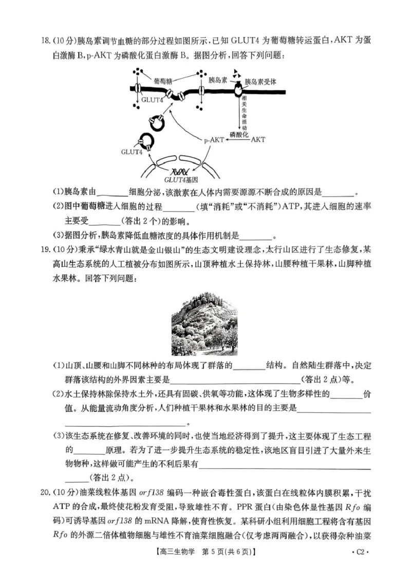 河南省2025&mdash;2026年度上学期高三年级第三次联考生物_2025年12月_251230金太阳&middot;河南省2025&mdash;2026年度上学期高三年级第三次联考（全科）