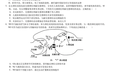 2025年普通高中学业水平选择性考试（模拟）生物_2025年6月_250601湖北省沙市中学2025届高三下学期5月高考模拟预测（全科）