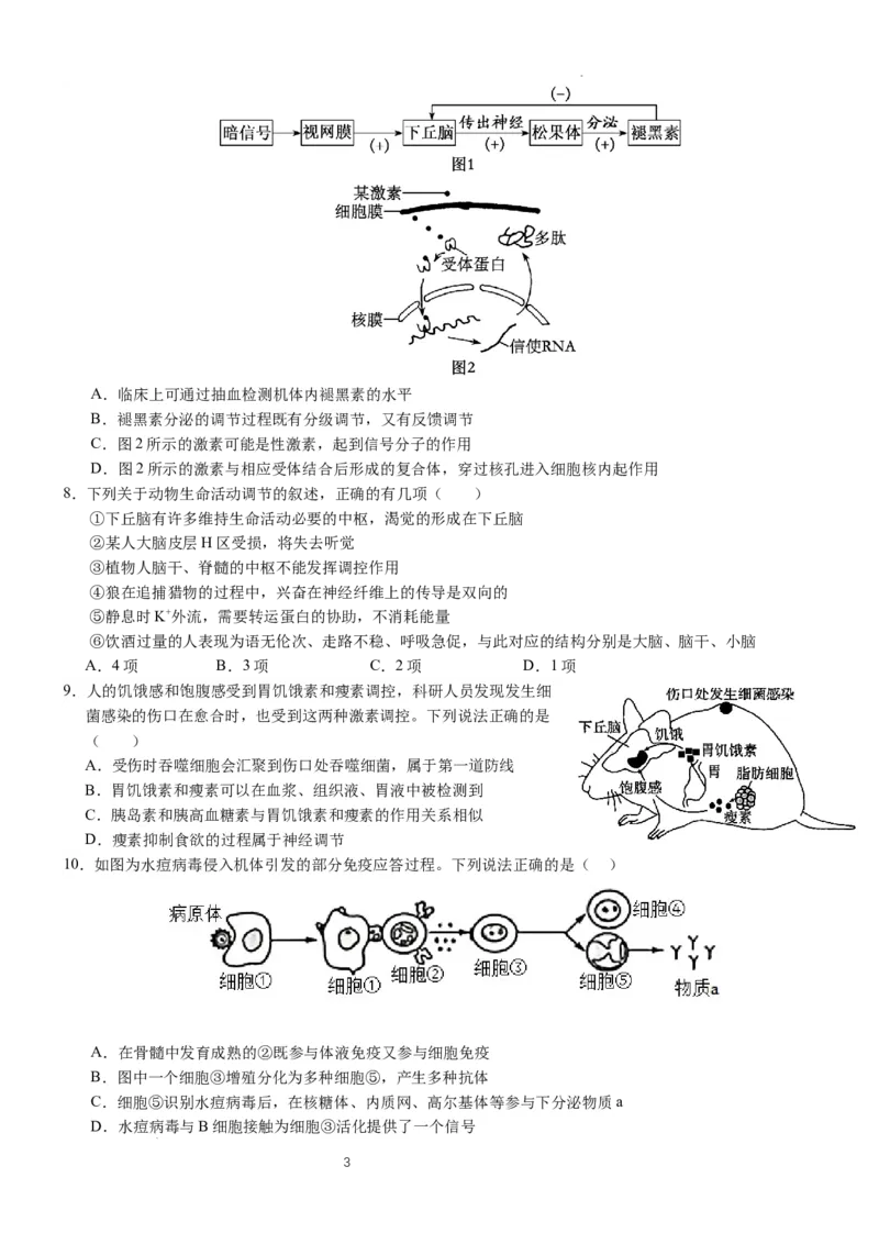 2025年普通高中学业水平选择性考试（模拟）生物_2025年6月_250601湖北省沙市中学2025届高三下学期5月高考模拟预测（全科）