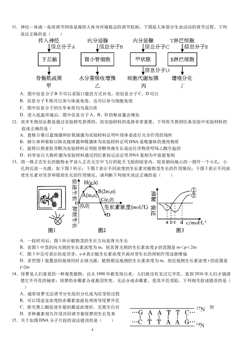 2025年普通高中学业水平选择性考试（模拟）生物_2025年6月_250601湖北省沙市中学2025届高三下学期5月高考模拟预测（全科）