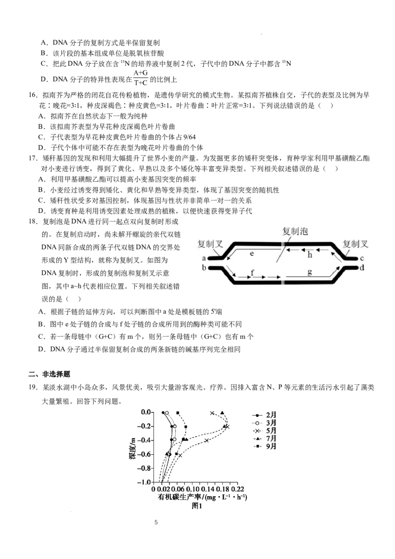 2025年普通高中学业水平选择性考试（模拟）生物_2025年6月_250601湖北省沙市中学2025届高三下学期5月高考模拟预测（全科）