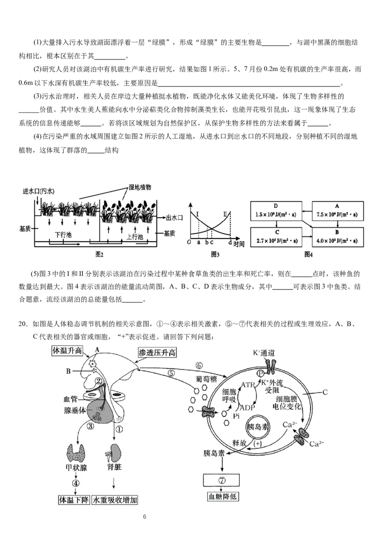 2025年普通高中学业水平选择性考试（模拟）生物_2025年6月_250601湖北省沙市中学2025届高三下学期5月高考模拟预测（全科）