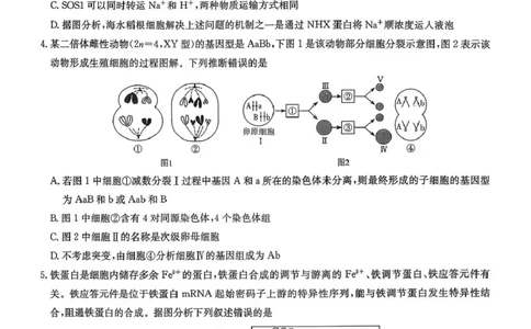 湖南省湘东教学联盟2025年11月高三联考生物_251108湖南省湘东教学联盟2026届高三上学期11月联考