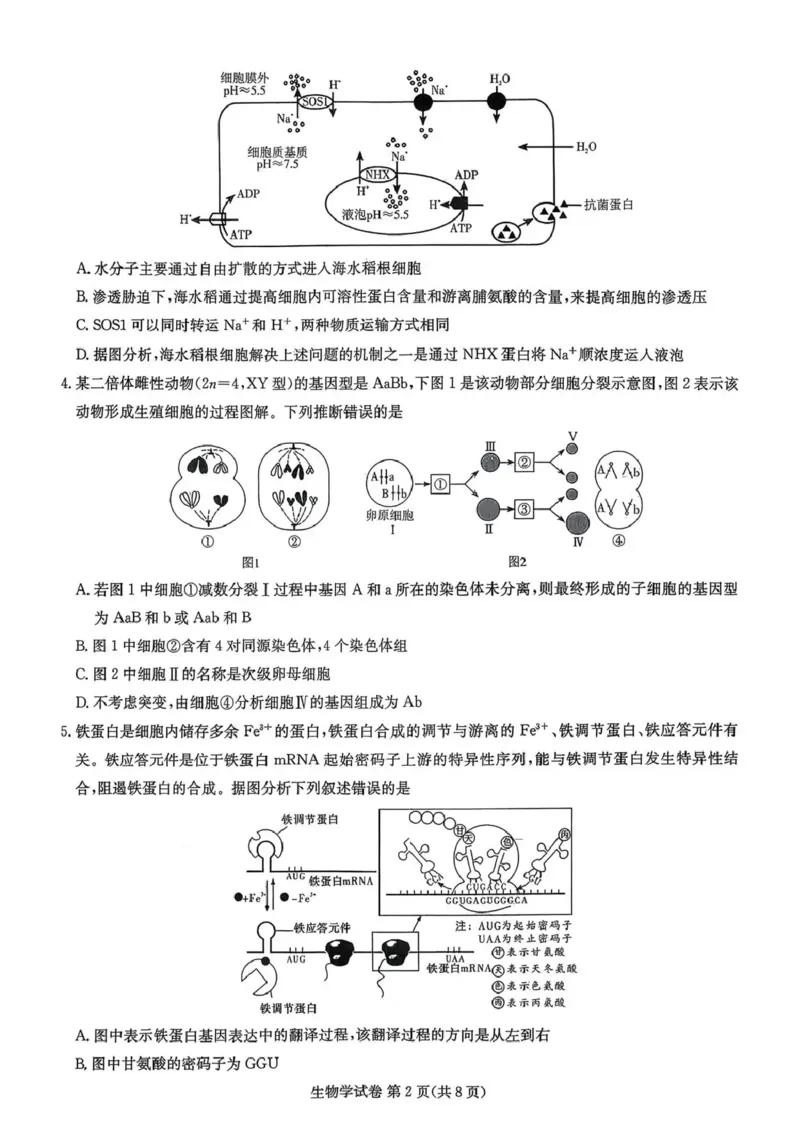 湖南省湘东教学联盟2025年11月高三联考生物_251108湖南省湘东教学联盟2026届高三上学期11月联考