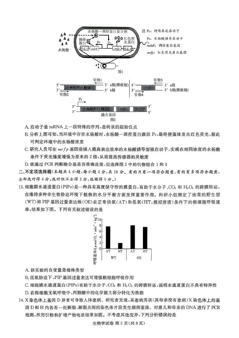 湖南省湘东教学联盟2025年11月高三联考生物_251108湖南省湘东教学联盟2026届高三上学期11月联考
