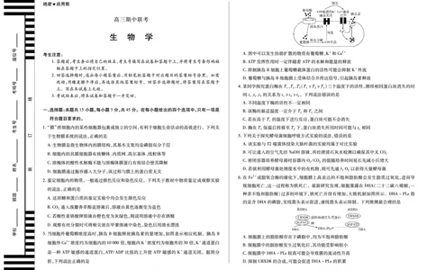 生物天一大联考&middot;安徽省高三上学期11月期中联考_251115天一大联考&middot;安徽省高三上学期11月期中联考（全科）