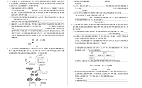 生物天一大联考&middot;安徽省高三上学期11月期中联考_251115天一大联考&middot;安徽省高三上学期11月期中联考（全科）