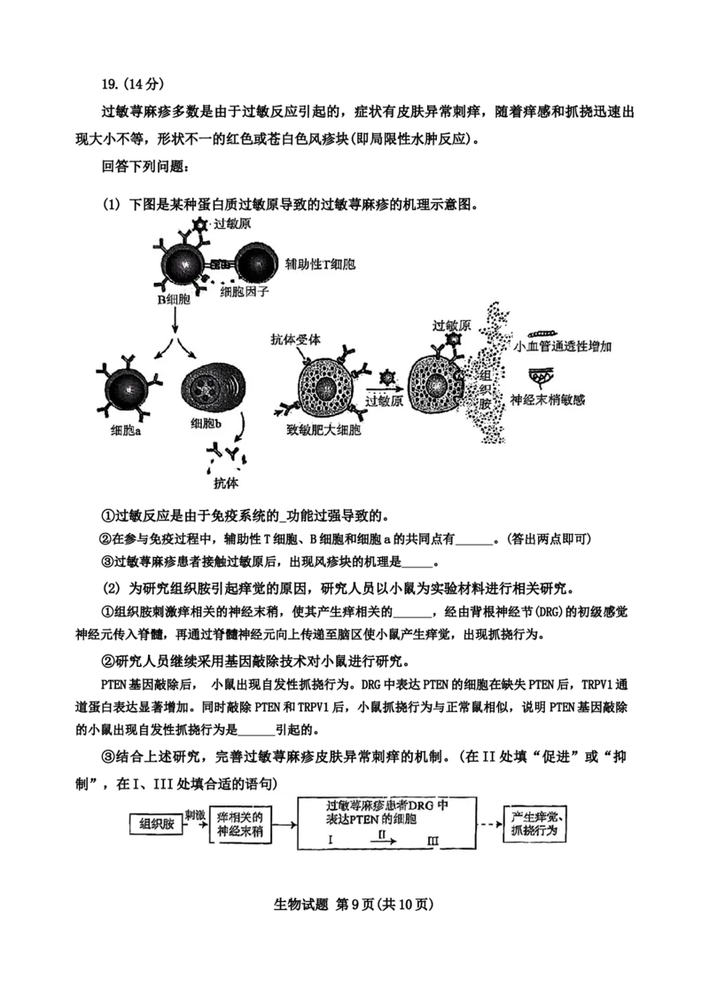 2024届福建省部分地市高三上学期第一次质量检测生物(1)_2024年1月_021月合集_2024届福建省部分地市高三上学期第一次质量检测