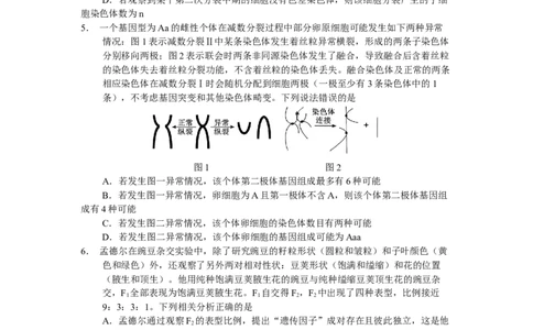 玉溪一中2025&mdash;2026学年上学期高三适应性测试（六）生物_251102云南省玉溪一中2025&mdash;2026学年上学期高三适应性测试（六）