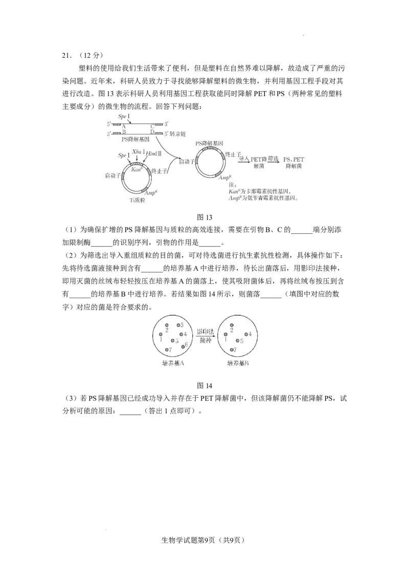 玉溪一中2025&mdash;2026学年上学期高三适应性测试（六）生物_251102云南省玉溪一中2025&mdash;2026学年上学期高三适应性测试（六）