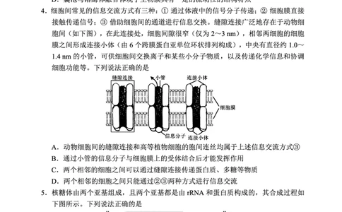 2024～2025学年度下期高中2023级期末考试生物学试题（8页）_2025年6月_250625四川省成都市蓉城名校联盟2024-2025学年高二下学期期末考试（全科）
