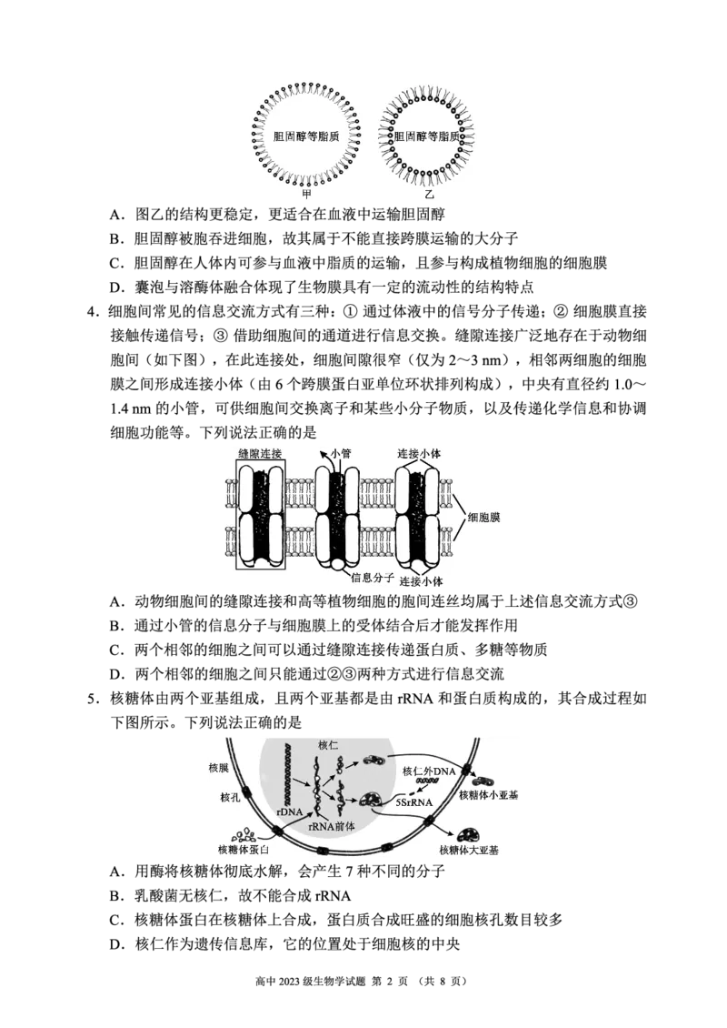 2024～2025学年度下期高中2023级期末考试生物学试题（8页）_2025年6月_250625四川省成都市蓉城名校联盟2024-2025学年高二下学期期末考试（全科）