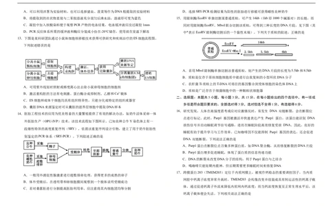 吉林省长春市朝阳区长春外国语学校2024-2025学年高二下学期7月期末生物试题（含答案）_2025年7月_250723吉林省普通高中G8教考联盟2024-2025学年下学期期末考试