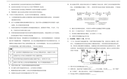 吉林省长春市朝阳区长春外国语学校2024-2025学年高二下学期7月期末生物试题（含答案）_2025年7月_250723吉林省普通高中G8教考联盟2024-2025学年下学期期末考试