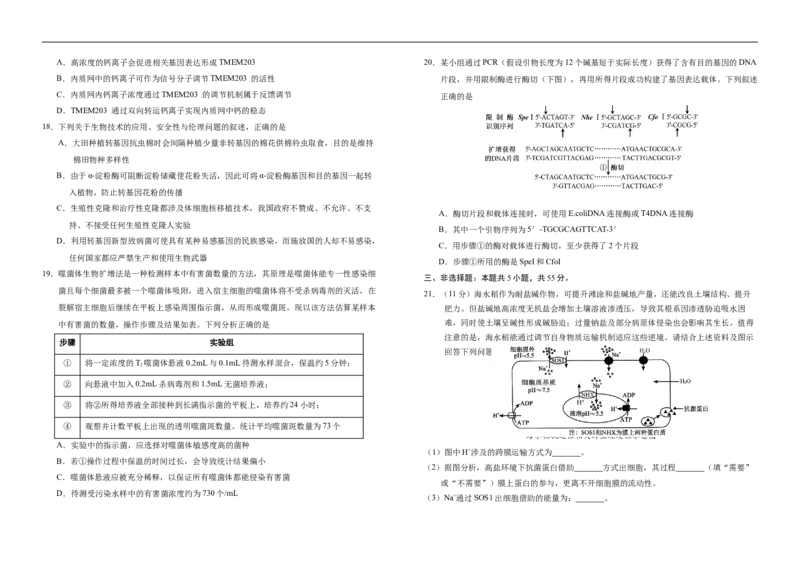 吉林省长春市朝阳区长春外国语学校2024-2025学年高二下学期7月期末生物试题（含答案）_2025年7月_250723吉林省普通高中G8教考联盟2024-2025学年下学期期末考试