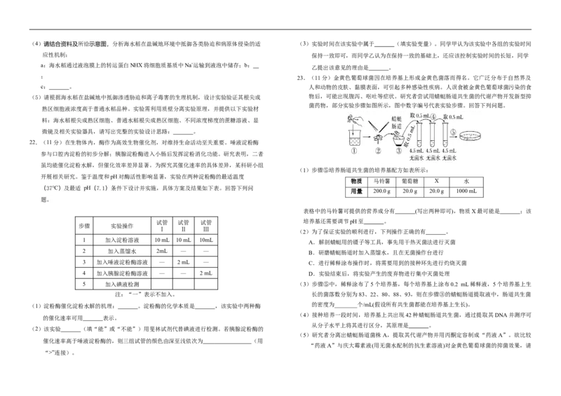 吉林省长春市朝阳区长春外国语学校2024-2025学年高二下学期7月期末生物试题（含答案）_2025年7月_250723吉林省普通高中G8教考联盟2024-2025学年下学期期末考试