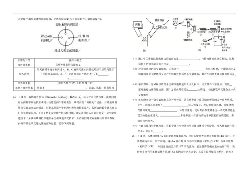 吉林省长春市朝阳区长春外国语学校2024-2025学年高二下学期7月期末生物试题（含答案）_2025年7月_250723吉林省普通高中G8教考联盟2024-2025学年下学期期末考试