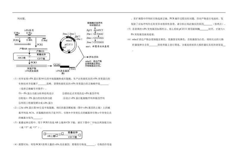 吉林省长春市朝阳区长春外国语学校2024-2025学年高二下学期7月期末生物试题（含答案）_2025年7月_250723吉林省普通高中G8教考联盟2024-2025学年下学期期末考试