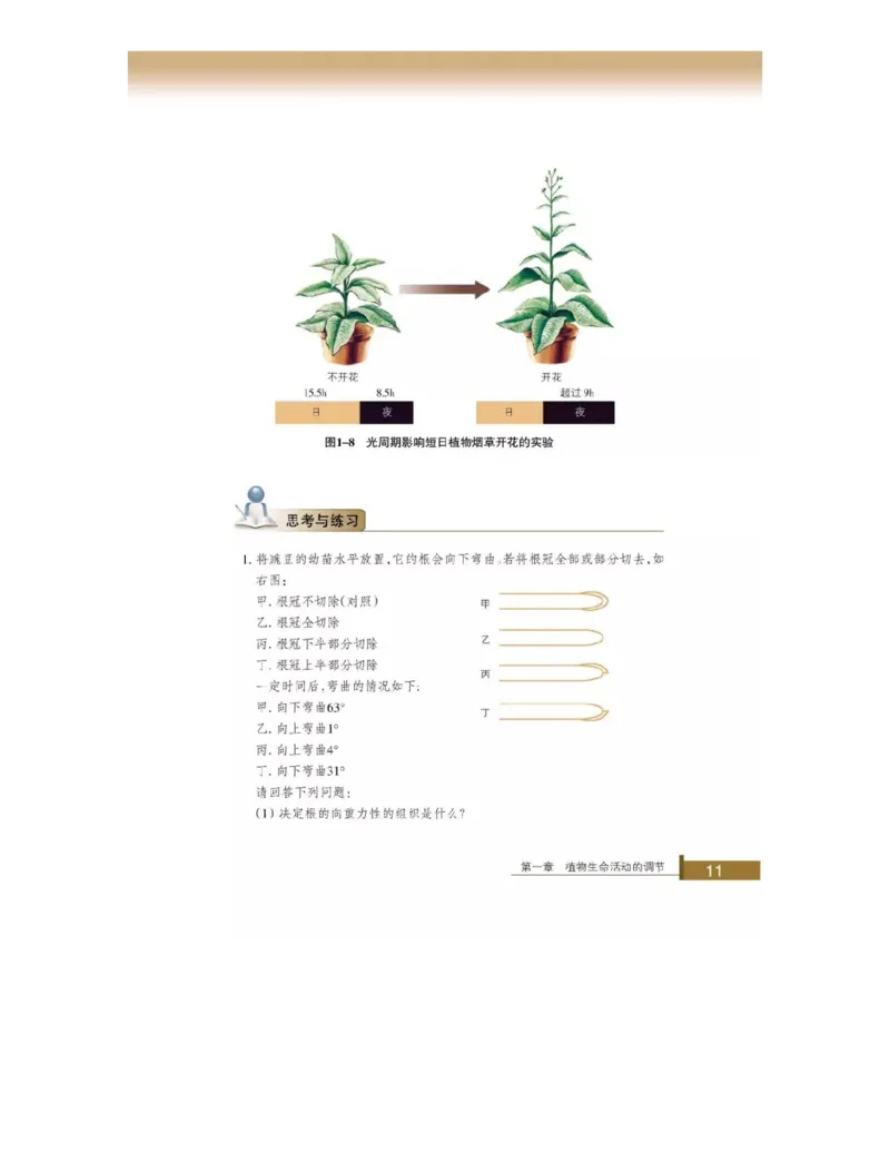 浙科版高中生物必修3《稳态与环境》电子课本_4-教培资料-26年最新资料-同步更新_初中高中教资_03科三专项（进去保存报考的学科即可）_112025高中科目（全）电子教材