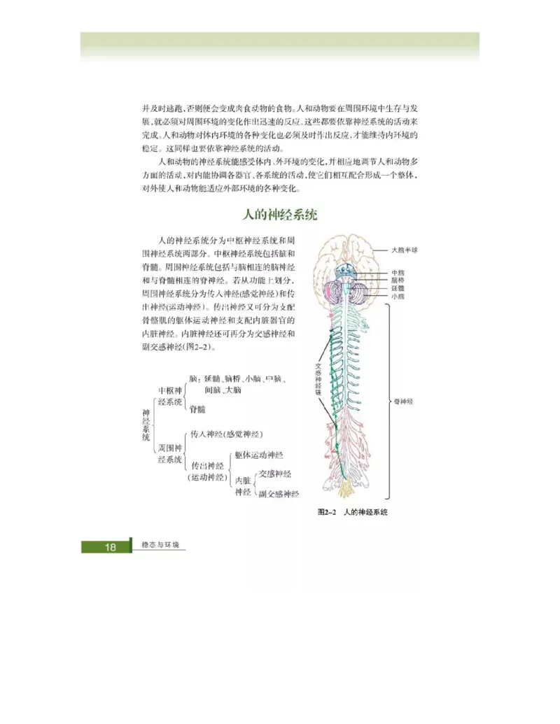 浙科版高中生物必修3《稳态与环境》电子课本_4-教培资料-26年最新资料-同步更新_初中高中教资_03科三专项（进去保存报考的学科即可）_112025高中科目（全）电子教材