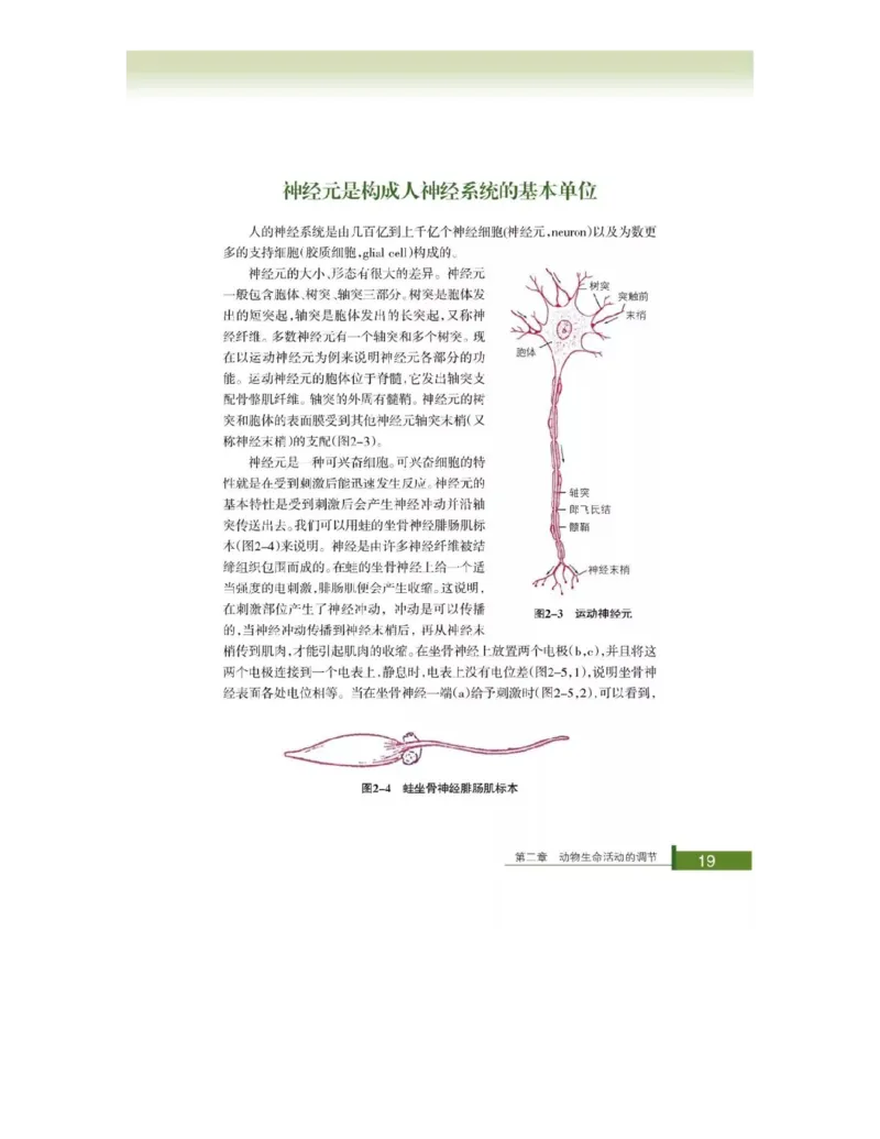 浙科版高中生物必修3《稳态与环境》电子课本_4-教培资料-26年最新资料-同步更新_初中高中教资_03科三专项（进去保存报考的学科即可）_112025高中科目（全）电子教材