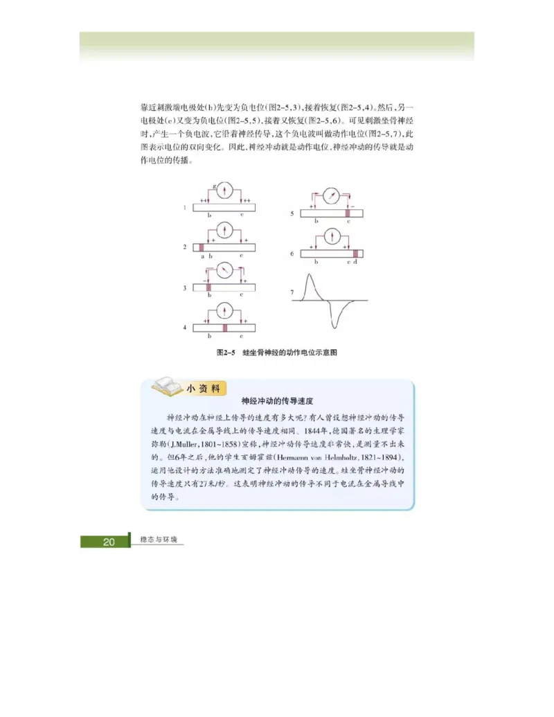 浙科版高中生物必修3《稳态与环境》电子课本_4-教培资料-26年最新资料-同步更新_初中高中教资_03科三专项（进去保存报考的学科即可）_112025高中科目（全）电子教材