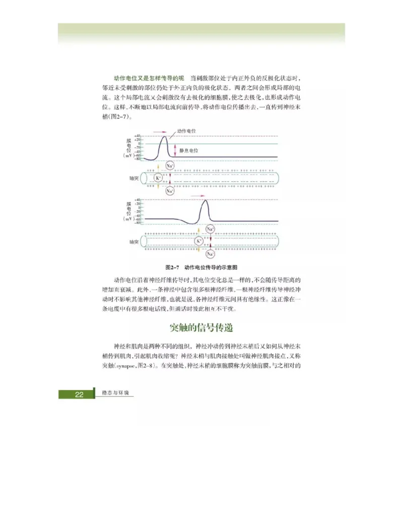 浙科版高中生物必修3《稳态与环境》电子课本_4-教培资料-26年最新资料-同步更新_初中高中教资_03科三专项（进去保存报考的学科即可）_112025高中科目（全）电子教材