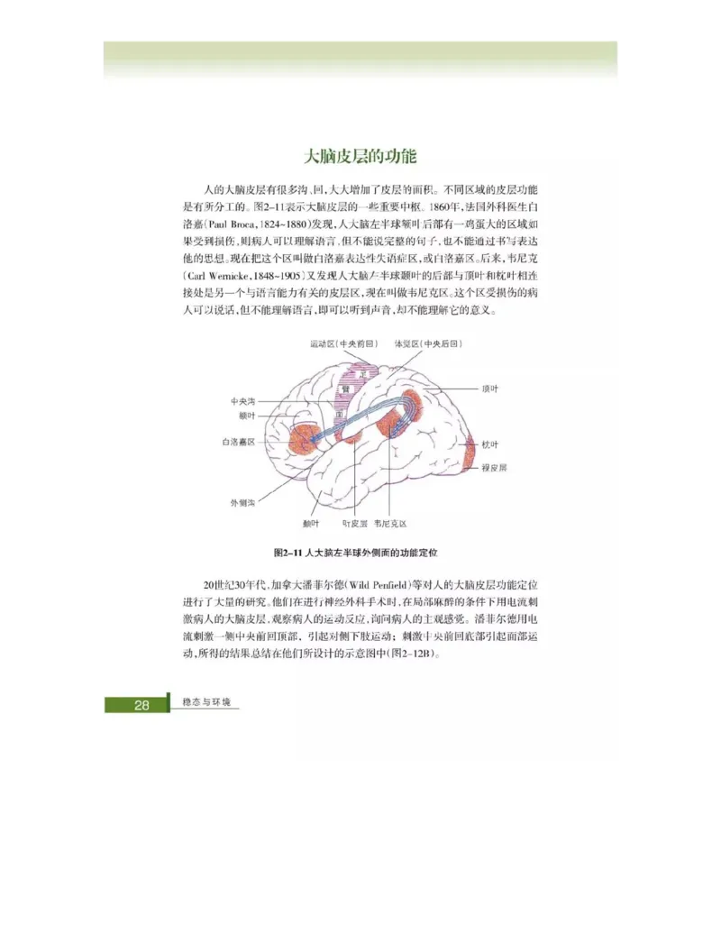 浙科版高中生物必修3《稳态与环境》电子课本_4-教培资料-26年最新资料-同步更新_初中高中教资_03科三专项（进去保存报考的学科即可）_112025高中科目（全）电子教材