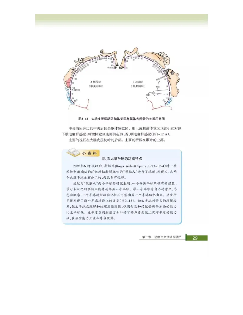 浙科版高中生物必修3《稳态与环境》电子课本_4-教培资料-26年最新资料-同步更新_初中高中教资_03科三专项（进去保存报考的学科即可）_112025高中科目（全）电子教材