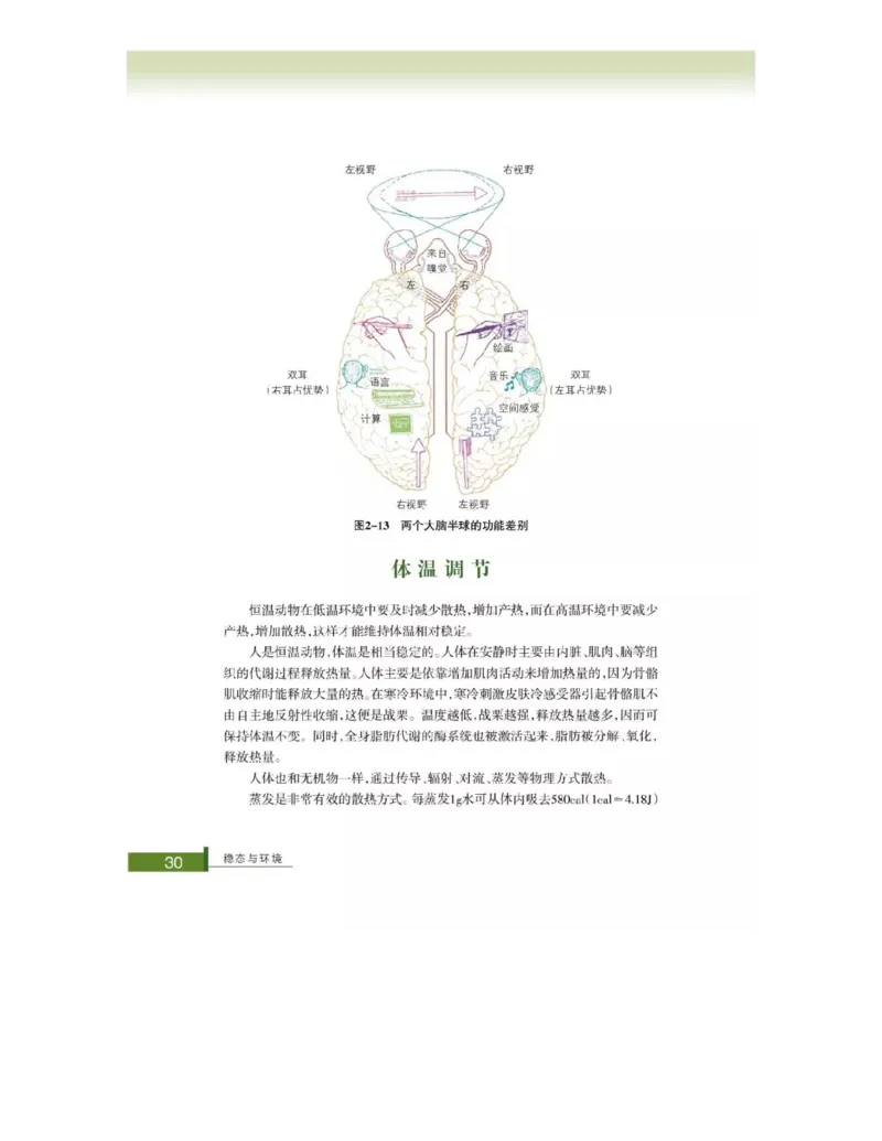 浙科版高中生物必修3《稳态与环境》电子课本_4-教培资料-26年最新资料-同步更新_初中高中教资_03科三专项（进去保存报考的学科即可）_112025高中科目（全）电子教材