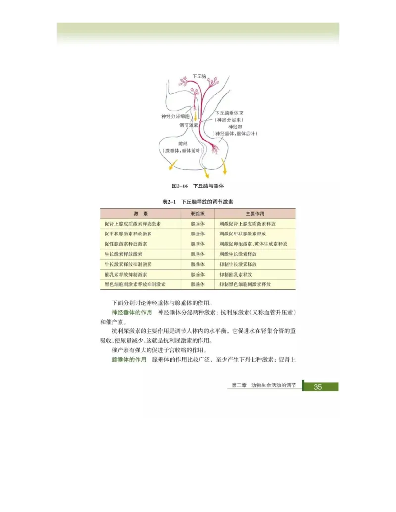 浙科版高中生物必修3《稳态与环境》电子课本_4-教培资料-26年最新资料-同步更新_初中高中教资_03科三专项（进去保存报考的学科即可）_112025高中科目（全）电子教材