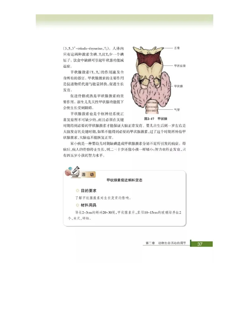 浙科版高中生物必修3《稳态与环境》电子课本_4-教培资料-26年最新资料-同步更新_初中高中教资_03科三专项（进去保存报考的学科即可）_112025高中科目（全）电子教材