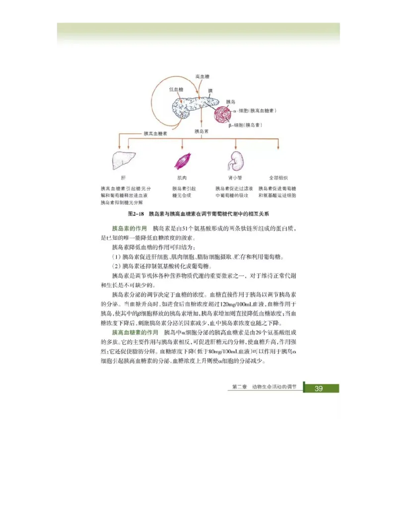 浙科版高中生物必修3《稳态与环境》电子课本_4-教培资料-26年最新资料-同步更新_初中高中教资_03科三专项（进去保存报考的学科即可）_112025高中科目（全）电子教材