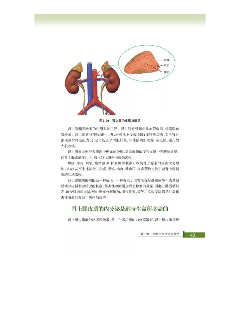 浙科版高中生物必修3《稳态与环境》电子课本_4-教培资料-26年最新资料-同步更新_初中高中教资_03科三专项（进去保存报考的学科即可）_112025高中科目（全）电子教材