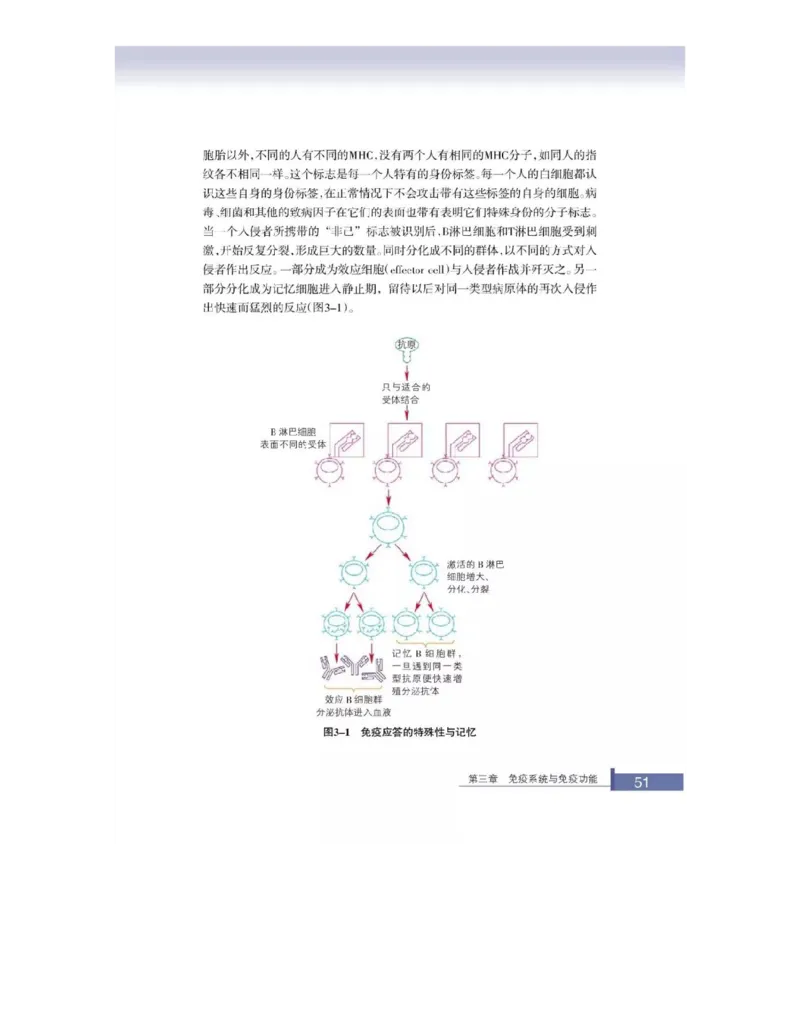 浙科版高中生物必修3《稳态与环境》电子课本_4-教培资料-26年最新资料-同步更新_初中高中教资_03科三专项（进去保存报考的学科即可）_112025高中科目（全）电子教材