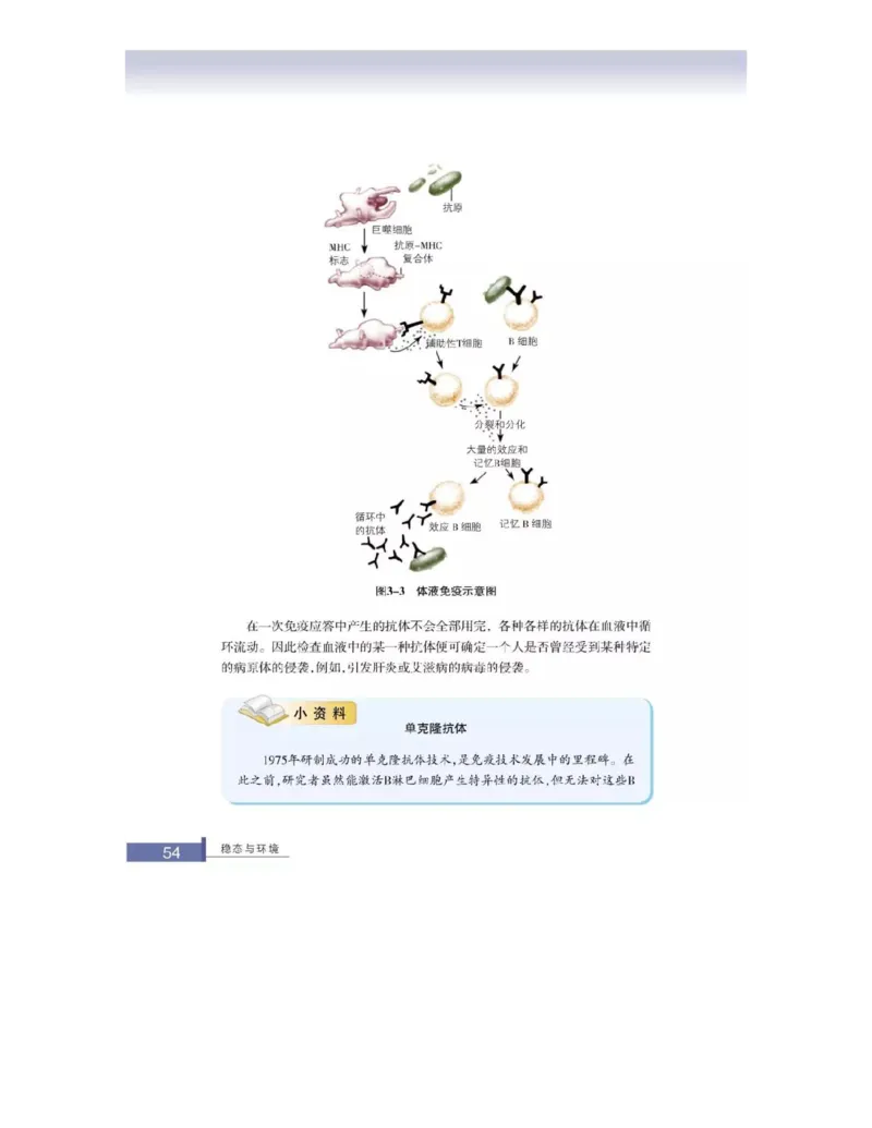 浙科版高中生物必修3《稳态与环境》电子课本_4-教培资料-26年最新资料-同步更新_初中高中教资_03科三专项（进去保存报考的学科即可）_112025高中科目（全）电子教材