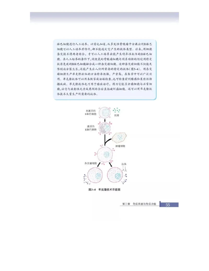 浙科版高中生物必修3《稳态与环境》电子课本_4-教培资料-26年最新资料-同步更新_初中高中教资_03科三专项（进去保存报考的学科即可）_112025高中科目（全）电子教材