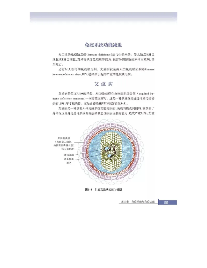 浙科版高中生物必修3《稳态与环境》电子课本_4-教培资料-26年最新资料-同步更新_初中高中教资_03科三专项（进去保存报考的学科即可）_112025高中科目（全）电子教材