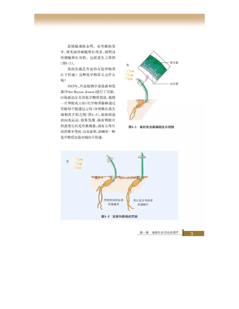 浙科版高中生物必修3《稳态与环境》电子课本_4-教培资料-26年最新资料-同步更新_初中高中教资_03科三专项（进去保存报考的学科即可）_112025高中科目（全）电子教材