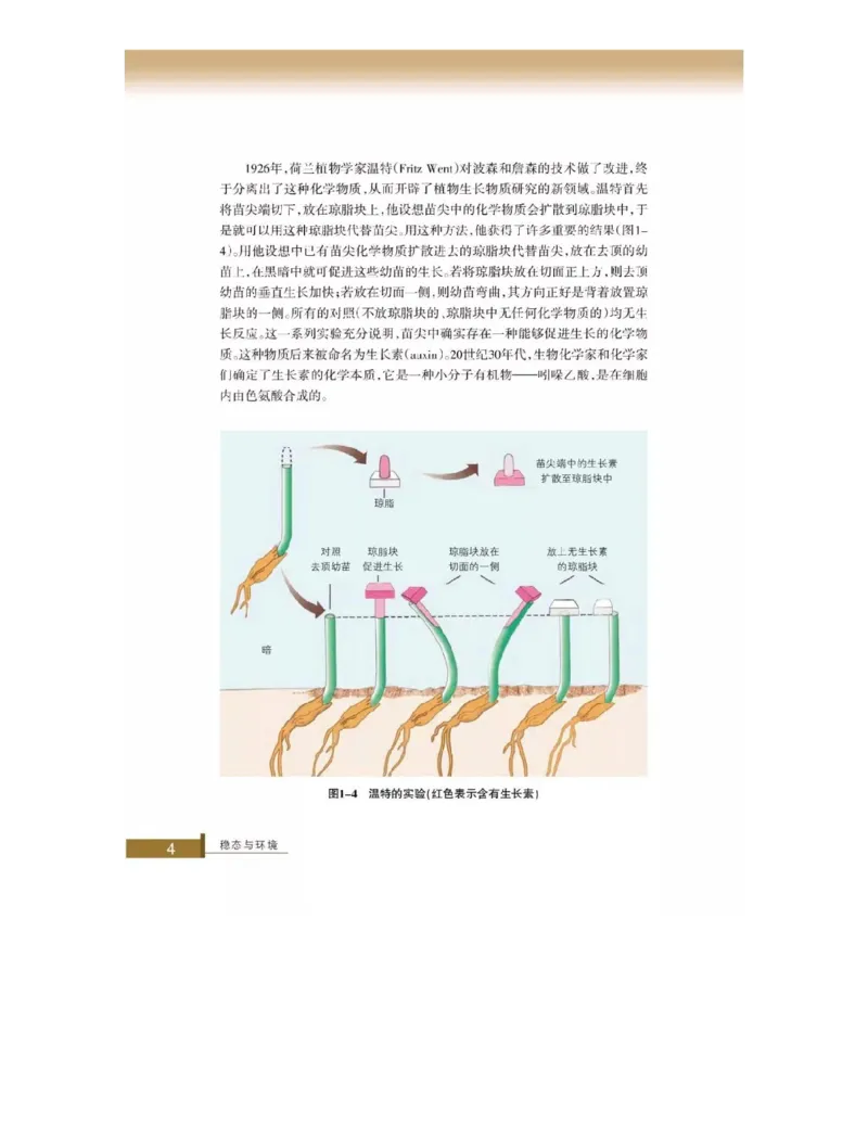 浙科版高中生物必修3《稳态与环境》电子课本_4-教培资料-26年最新资料-同步更新_初中高中教资_03科三专项（进去保存报考的学科即可）_112025高中科目（全）电子教材
