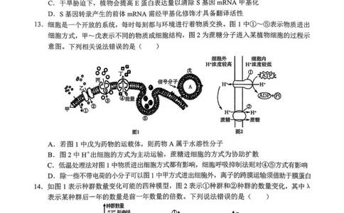 广西南宁市部分学校2024-2025学年高二下学期6月期末考试生物PDF版含解析_2025年7月_250704广西壮族自治区考阅评&middot;南宁部分学校2025年春季学期高二年级期末教学质量监测（全科）