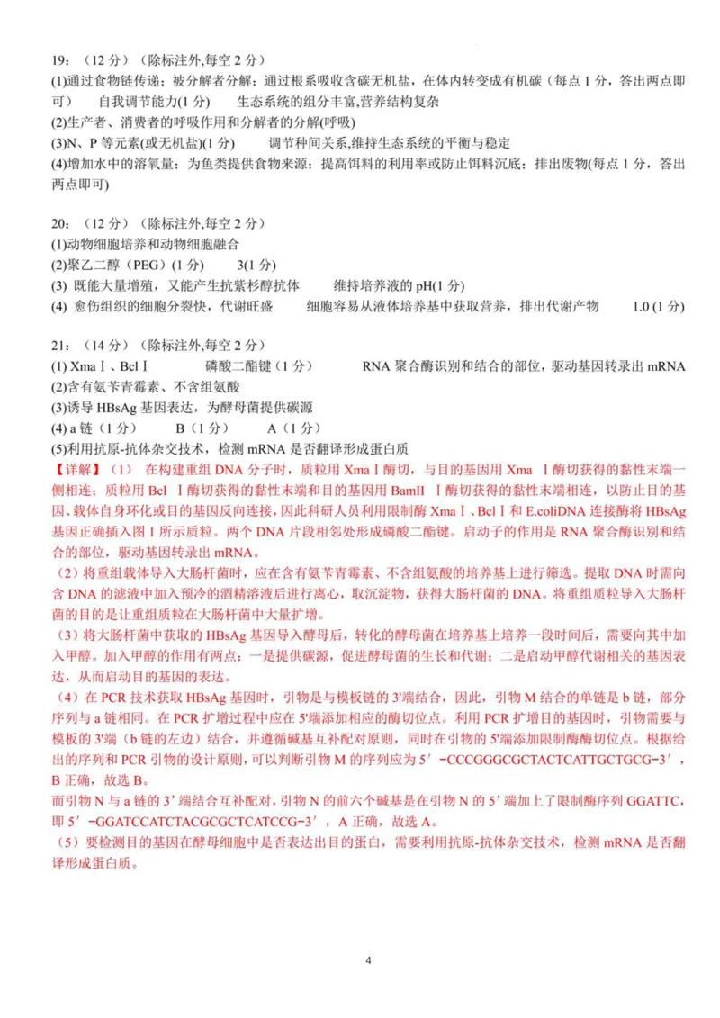 广西南宁市部分学校2024-2025学年高二下学期6月期末考试生物PDF版含解析_2025年7月_250704广西壮族自治区考阅评&middot;南宁部分学校2025年春季学期高二年级期末教学质量监测（全科）